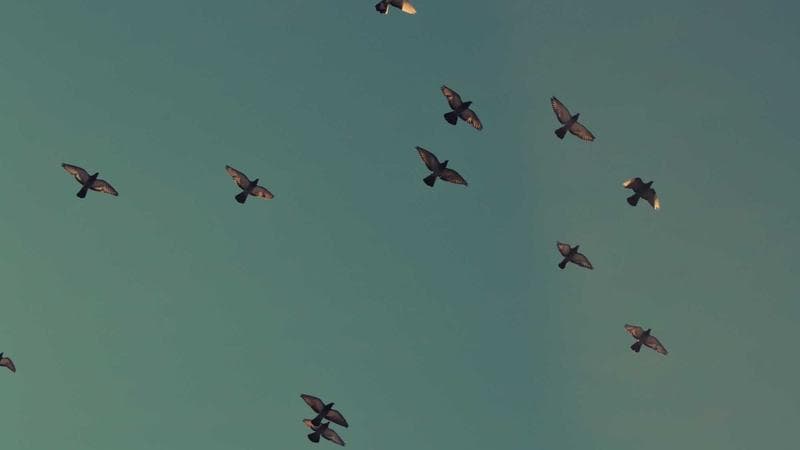 Retirement planning documents and calculator representing Canada Pension Plan benefits