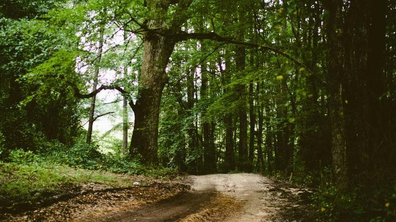 Scenic rural Canadian landscape with rolling farmland and a small town in the distance