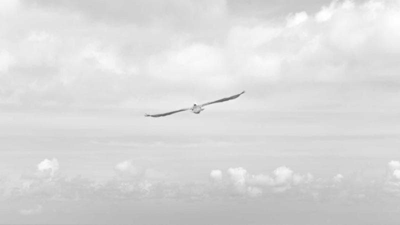 Diverse group of people socializing at a Canadian community gathering