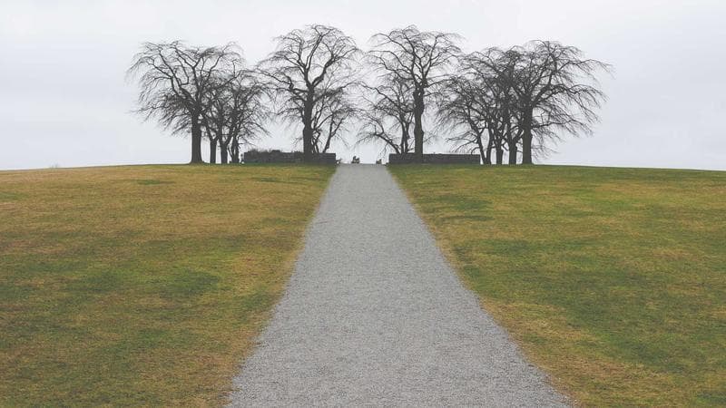 Person organizing travel documents and passport before moving to Canada