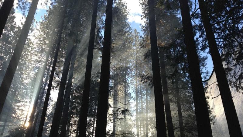 Arrivals area of a Canadian international airport terminal