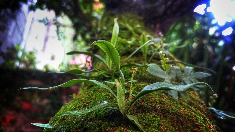 Person reviewing immigration documents representing status changes in Canada