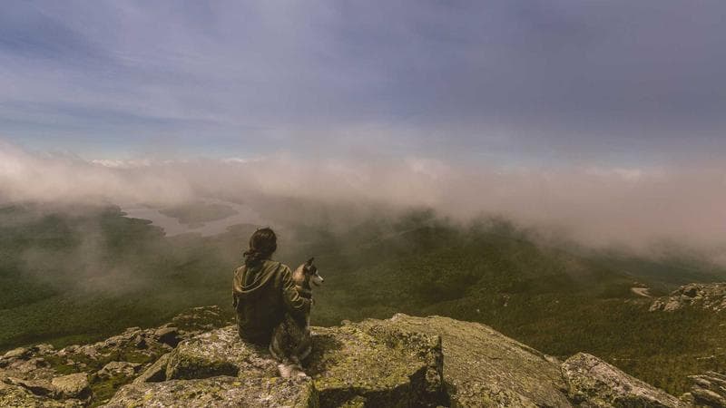 Official documents representing birth certificate registration in Canada