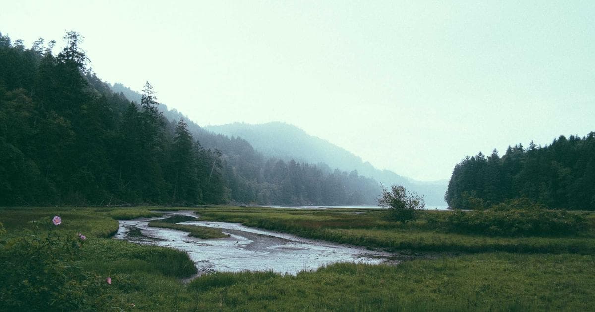 Tax documents and calculator on a desk representing T1141 non-resident trust reporting