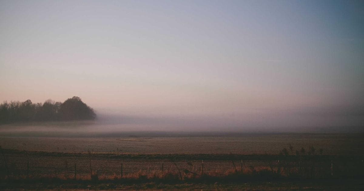 Guide to the Allowance for the Survivor