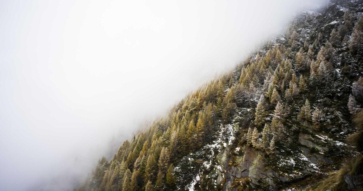 Guide to Setting Up a BC Hydro Account