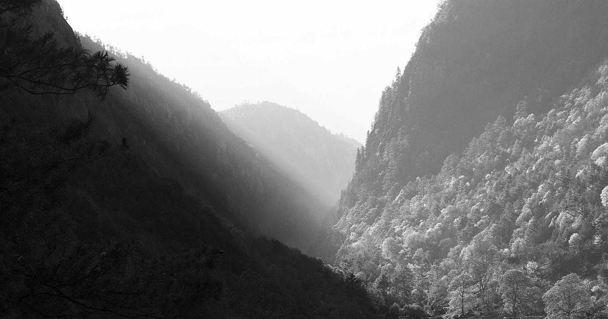 Guide to CPP Survivor's Pension Application