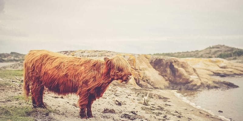 Travel planning materials including a map and documents