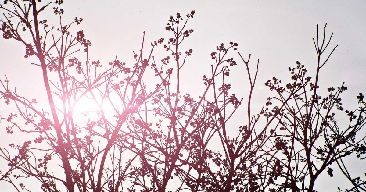 Business professionals reviewing registration documents at an office meeting