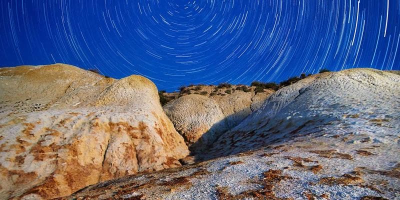 Two people in a Service Canada office discussing paperwork and application forms