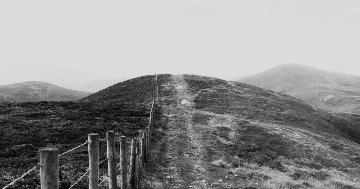 Guide to T1036 Home Buyers' Plan Repayment