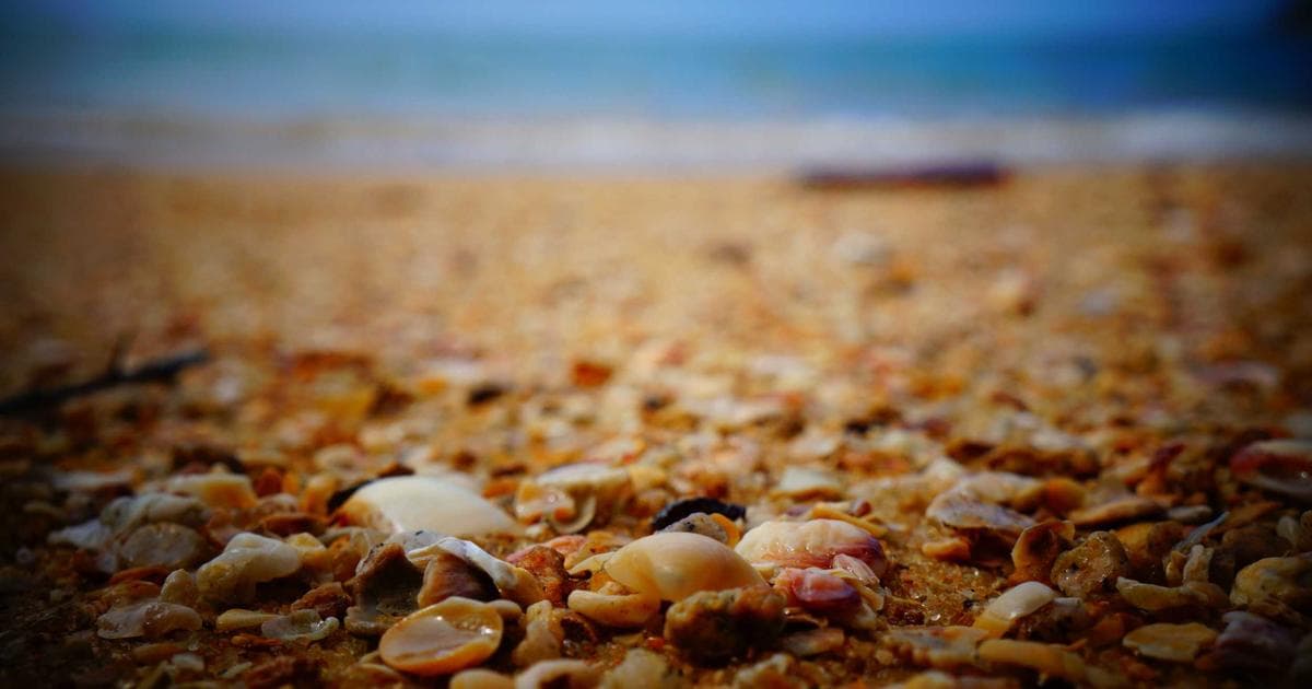 Guide to T1161 for Emigrants Listing Properties