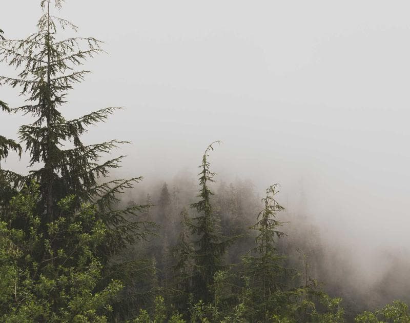 How to Apply for SAFER in BC: Shelter Aid for Elderly