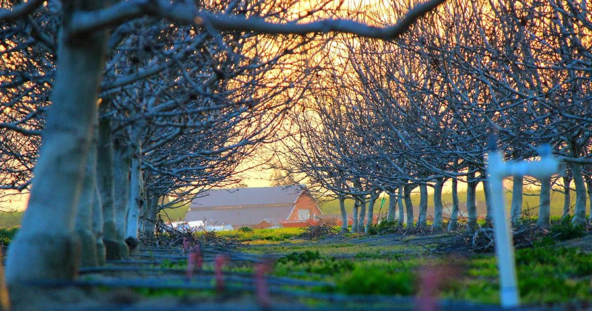 Canadian flag waving in front of a government building
