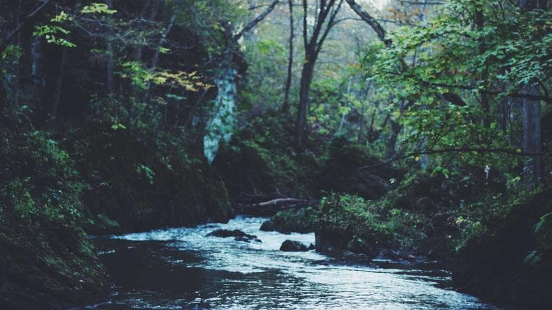 Canadian passport on a map with travel documents