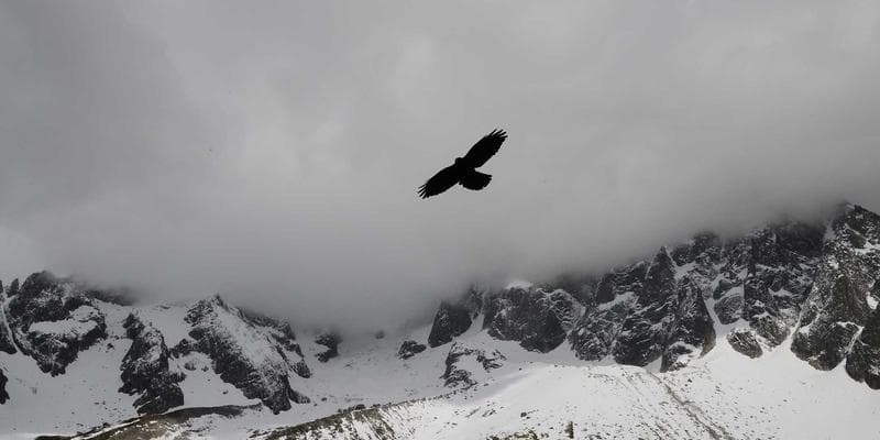 Traveller at airport using expedited screening lane