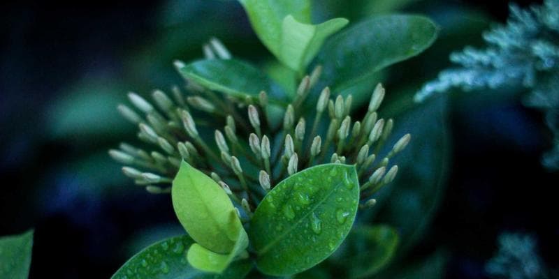 Elderly couple reviewing financial paperwork together at home