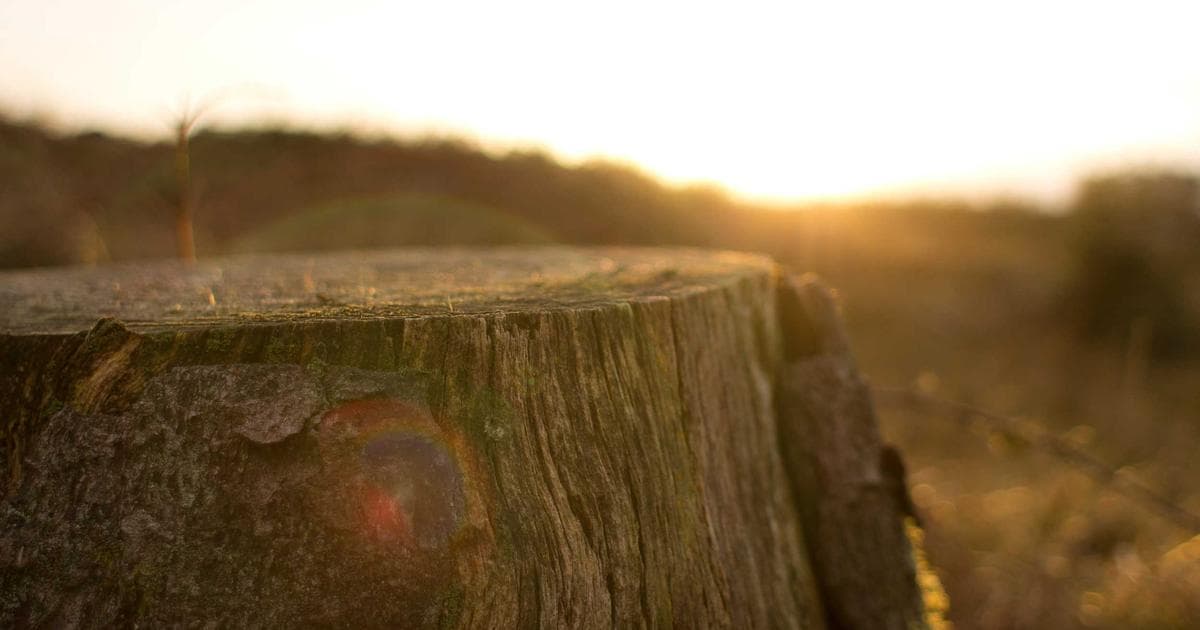 Person filling out government paperwork at a desk in Canada