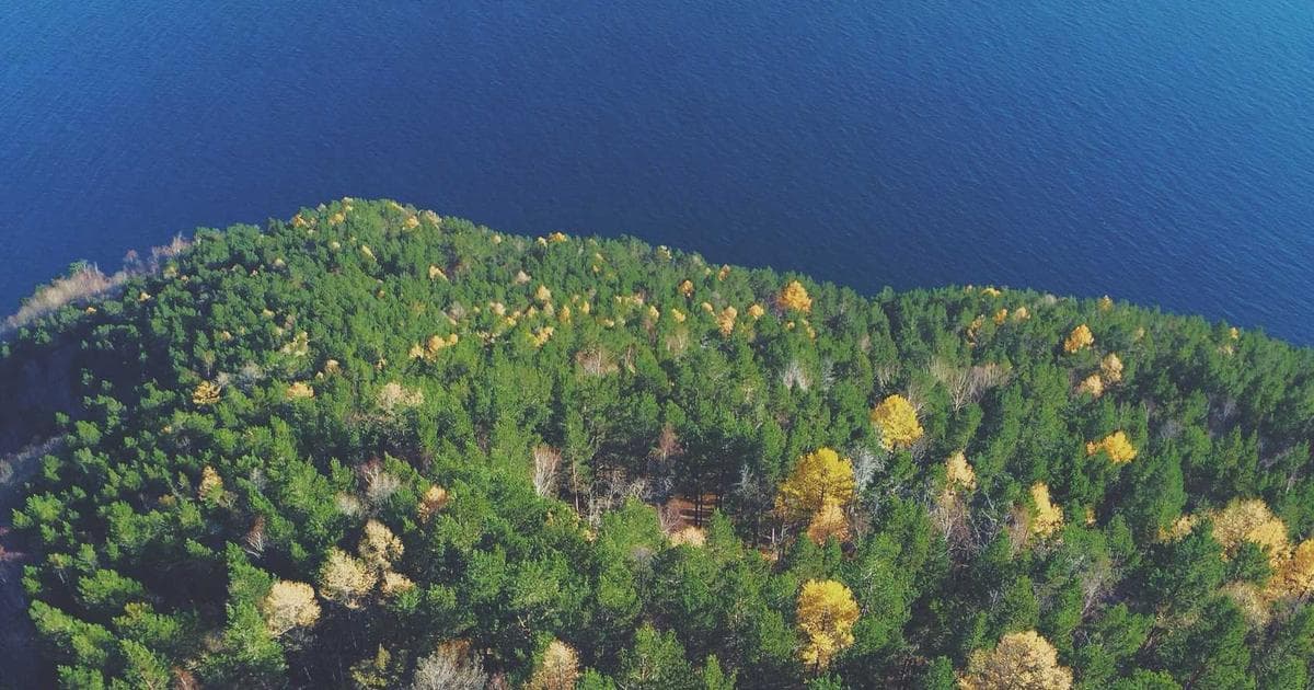 How to Complete IMM 1294 for a Study Permit