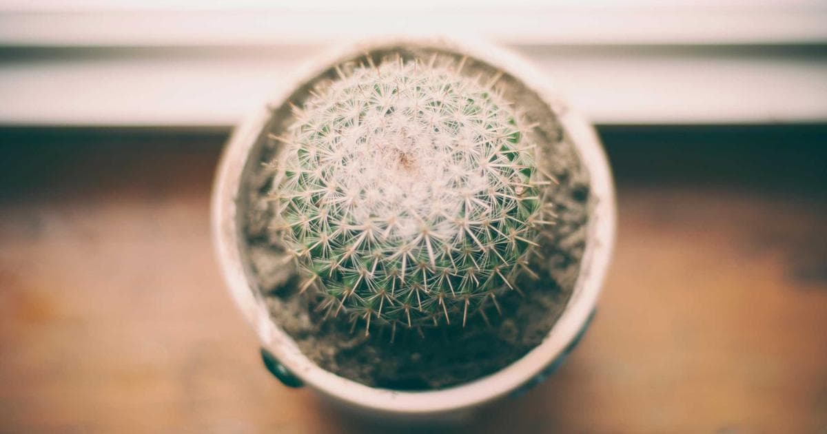 How to Complete Form RC66 for Canada Child Benefit