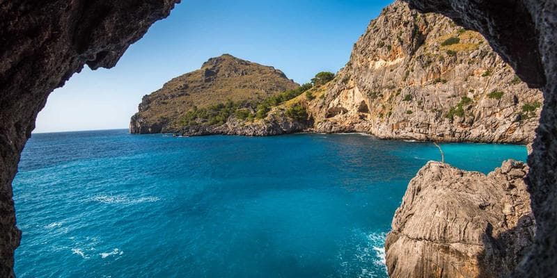 Person working on provincial tax forms at a desk