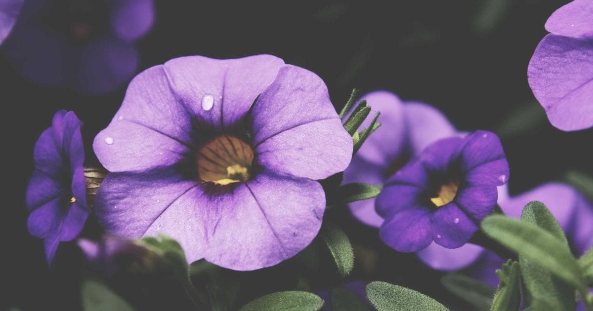 How to Fill Out NR73 for Residency Determination