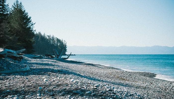 Medical professional reviewing patient records at a clinic in Canada