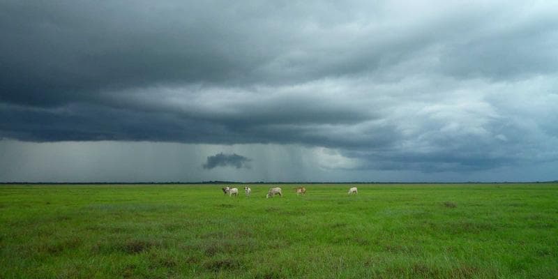Residential neighbourhood representing fair housing rights for newcomers