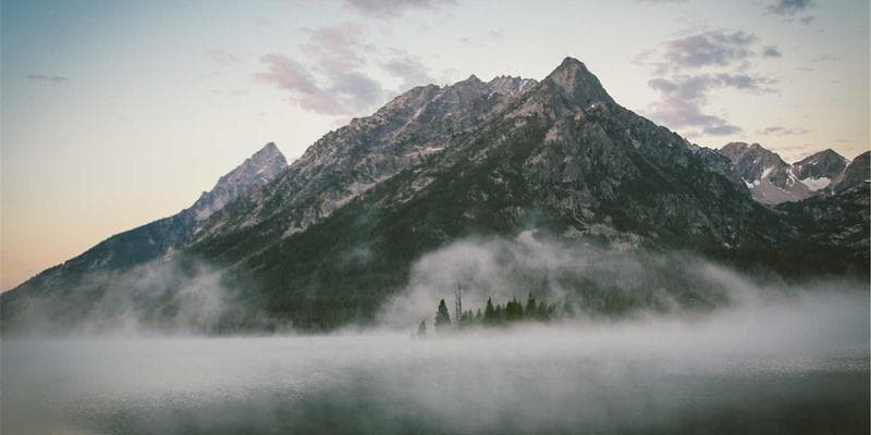 Applicant filling IMM 1295 work permit form on a laptop