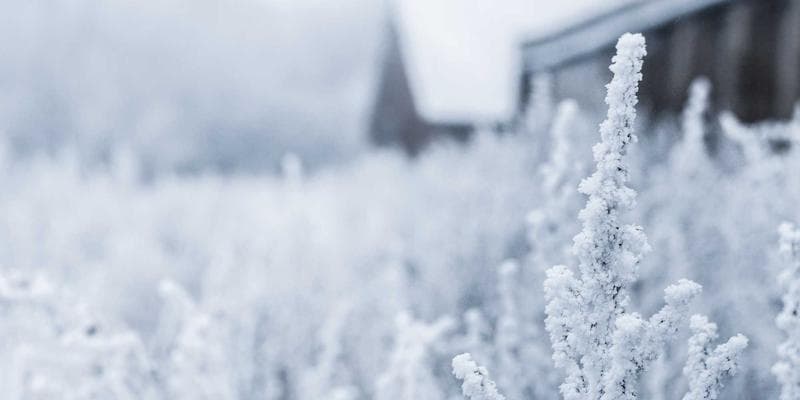 Diverse group of immigrants in Canada, working collaboratively in a modern office setting in 2026.