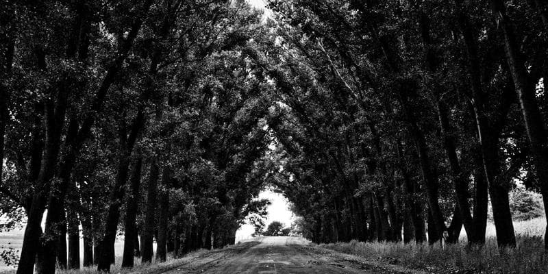 Immigration lawyer reviewing documents with a client in Canada