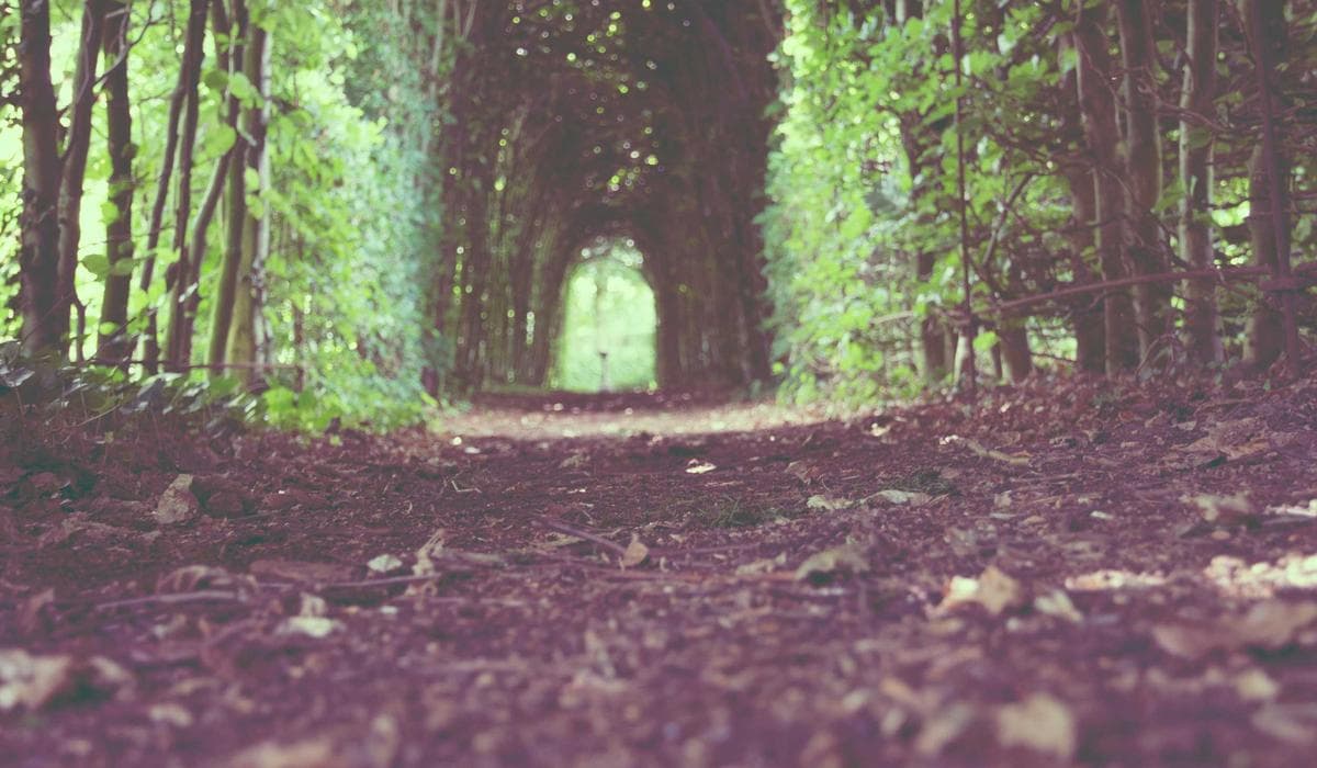 Newcomer networking at a professional event in Canada