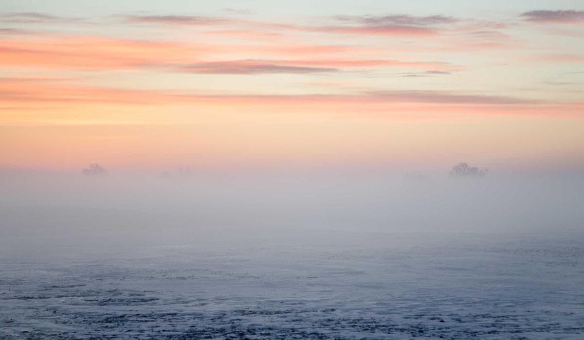 Newcomer receiving a job offer and shaking hands with employer