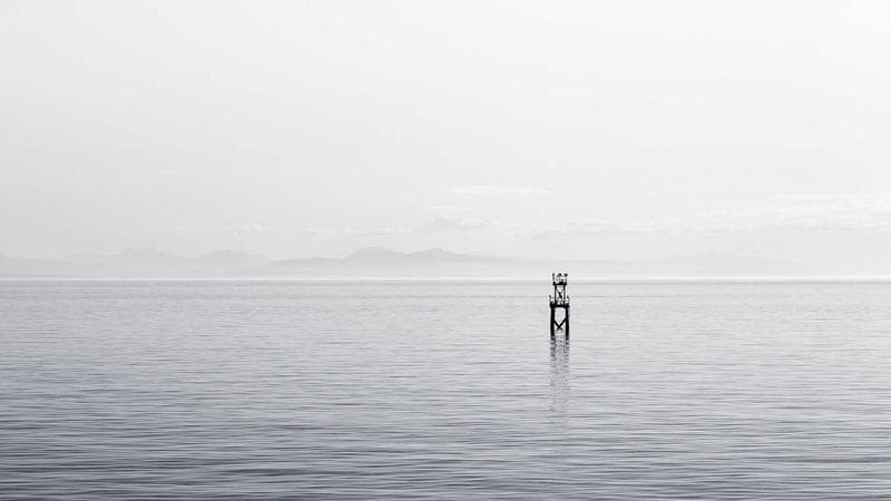 Apartment building exterior representing rental housing options for newcomers in British Columbia