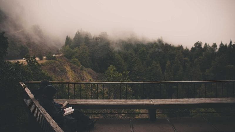 Modern bank interior representing Canadian banking services for newcomers