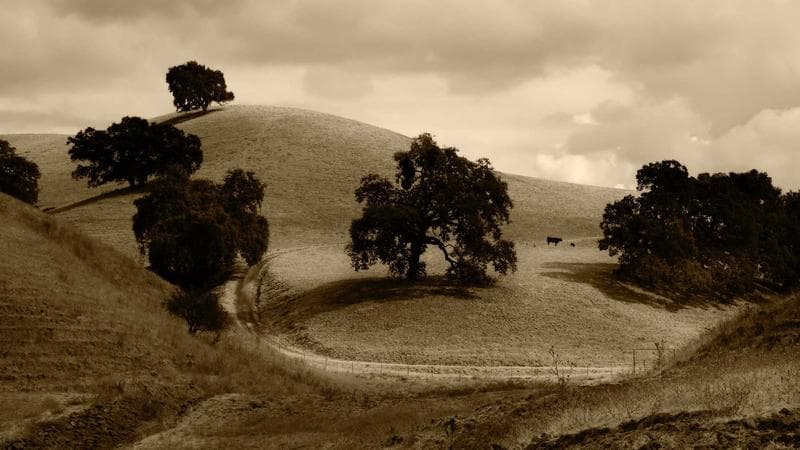 Gavel and legal scales on a wooden desk representing small claims court and dispute resolution in BC