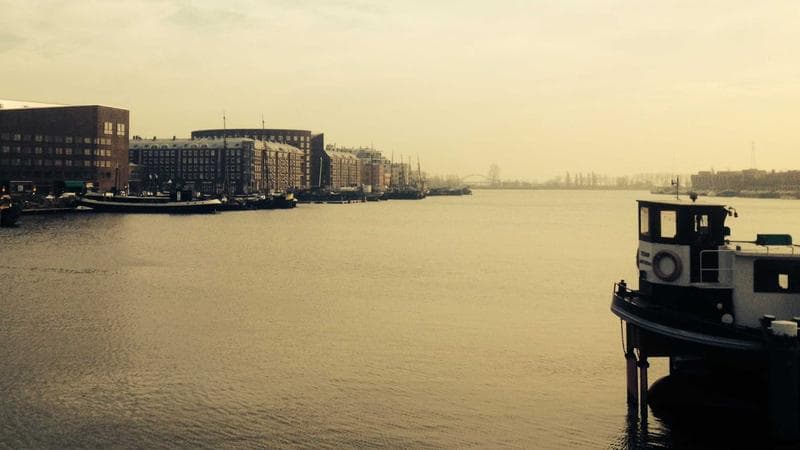 Peaceful nature scene representing mental health and wellness for newcomers in Canada