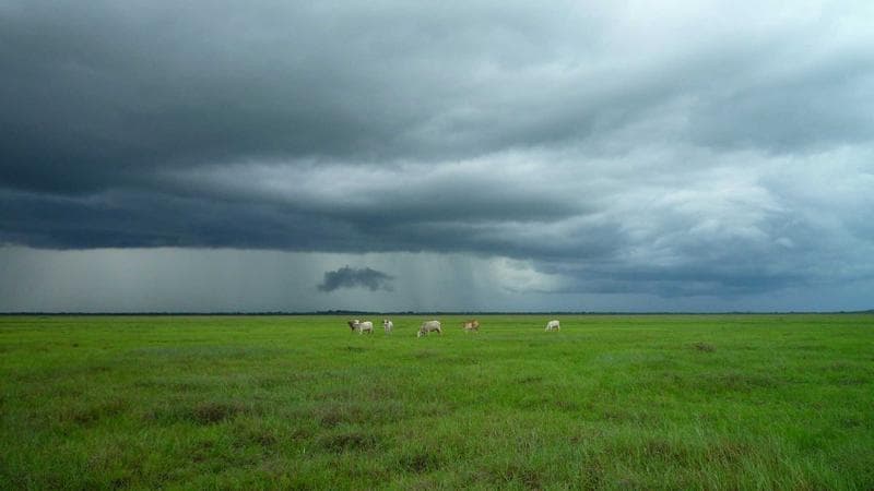 Entrepreneur at desk representing starting a business in Canada as a newcomer