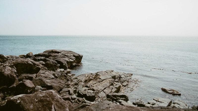 Newcomer Guide to Living in Brampton: Transit,