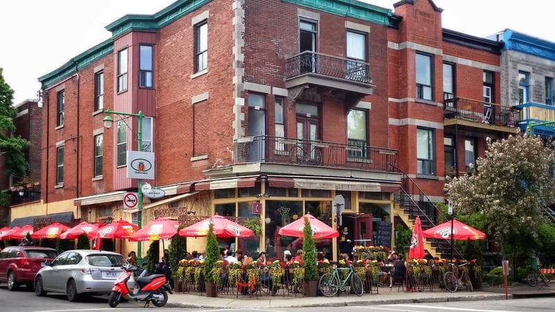 Person looking out a window representing the challenges of sponsorship breakdown for newcomers in Canada