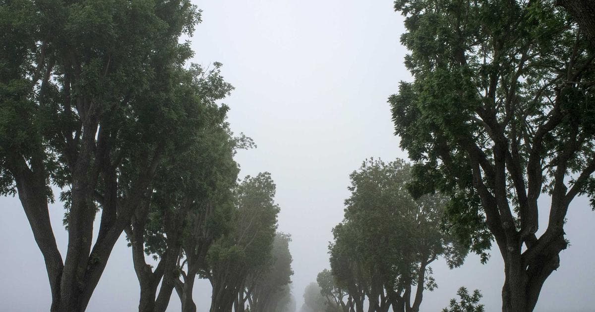 Parent and child together representing child care expenses deduction on Form T778