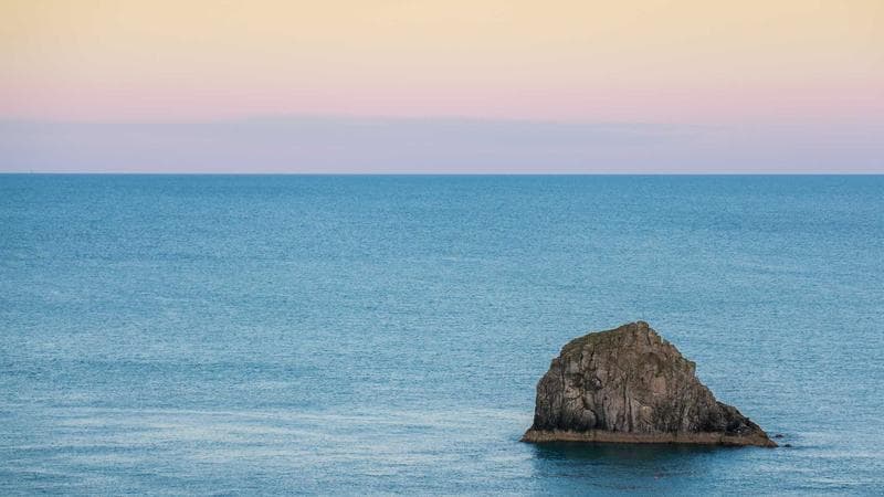 Saskatchewan Health Services card for newcomer registration