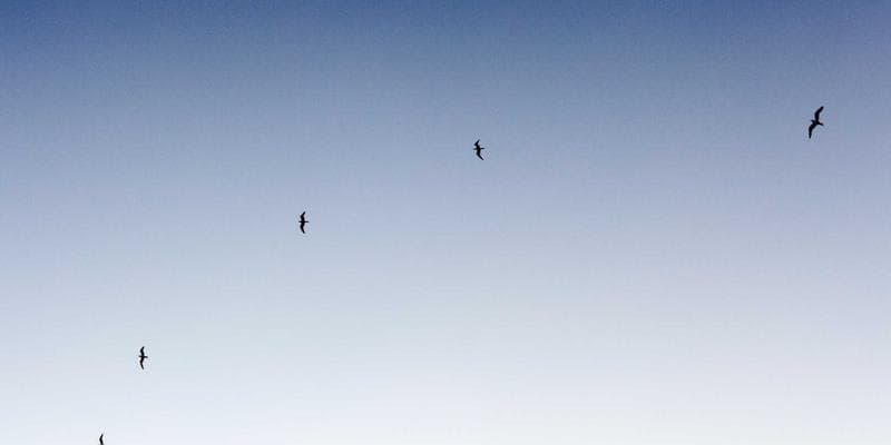 Newcomer meeting with mortgage advisor at bank