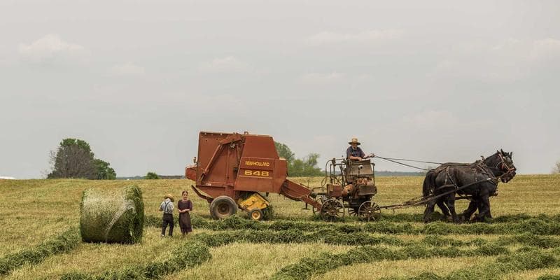 Newcomer professional exchanging business cards at Canadian networking event