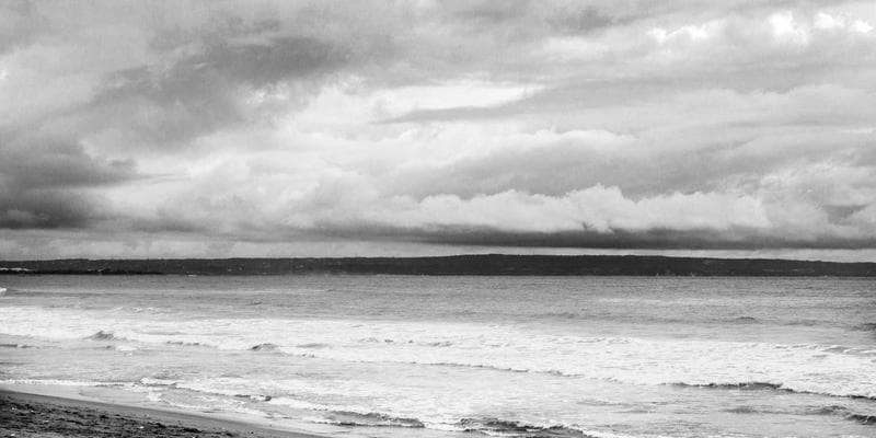 Professional networking event with diverse attendees exchanging contact information