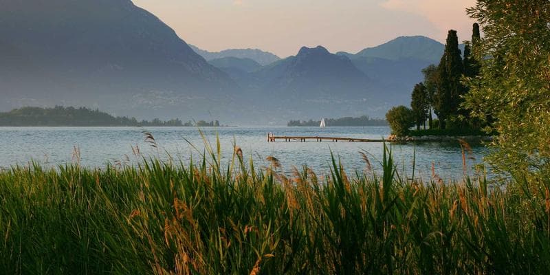 Newcomer receiving financial advice at a Canadian bank branch about account options and fees