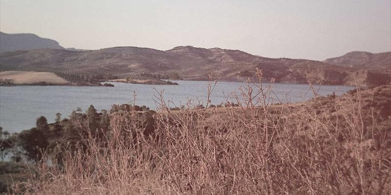 Snowy Calgary street in winter with cars and buildings covered in snow