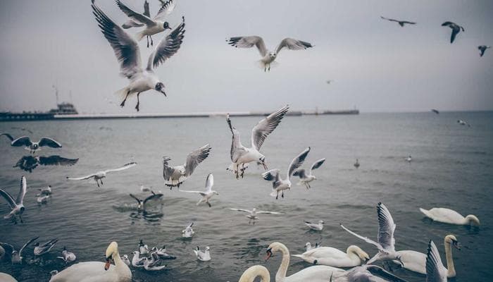 Park and recreational area in London Ontario