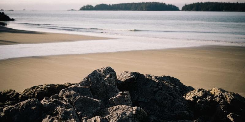 Old Montreal cobblestone streets with historic buildings and horse-drawn carriage