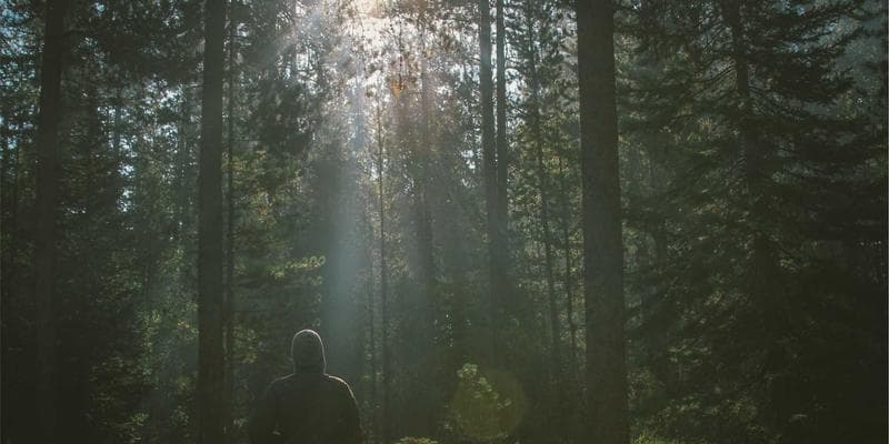 Victoria Inner Harbour with Parliament Buildings and waterfront